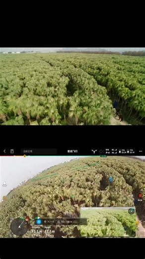 Ronin Japan on Instagram: "限られた空間でも、完璧な軌道を。 DJI Inspire 3のWaypoint Pro機能で、飛行ルートと撮影計画を正確に設定。 リピータブルルートモードを使えば、同じルートを簡単に再現し、 狭い森林のような環境でも、超スムーズでシネマティックなショットを実現します。 Created：RUN.CAM #DJI #DJIRonin #DJIInspire3 #映像制作"