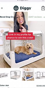 Enter for a chance to win a Diggs crate! Link: https://woobox.com/a8r5eg I’m telling you, there is not a more aesthetic & functional crate out there!! This is not endorsed or sponsored by Facebook. Must be 18 and in the US to win. No purchase necessary. Crate shipped & provided by Diggs Pet to the winner! | Rachel Fusaro