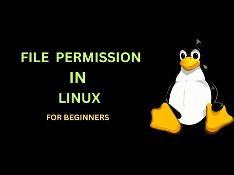 Linux File Permissions & Ownership Explained | chmod, chown, chgrp. #linux