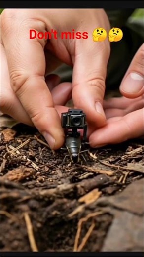 #shorts Underground World #alikhlas