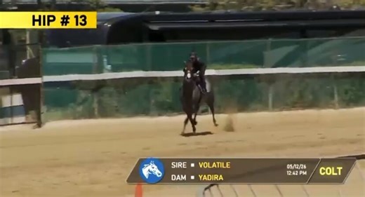 Ive only seen 2 other colts all year that had the speed & ability to carry it like this Volatile colt.1 was the 10.5 million @ZedanRacing Flightline & other was this @claydoeski Drain The Clock. Hip 13 was so much faster than everyone else this sale it’s mind-boggling #Monster