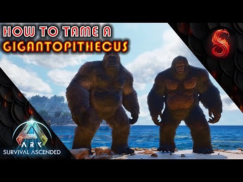 ARK SURVIVAL ASCENDED HOW TO TAME A GIGANTOPITHECUS