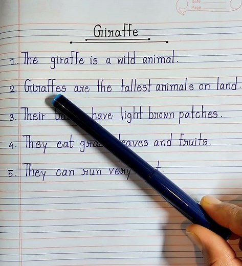 5 Lines Essay On Giraffe | Short & Simple Essay On Giraffe In English | Writing Practice