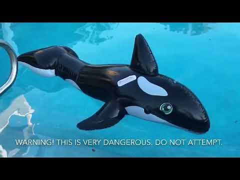 Testing Inflatable Whale Suit In Pool