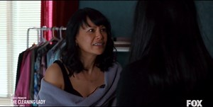 The Cleaning Lady (TV Series 2022–2025)