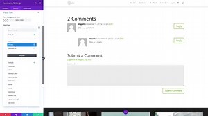 The Divi Comments Module - Elegant Themes Documentation