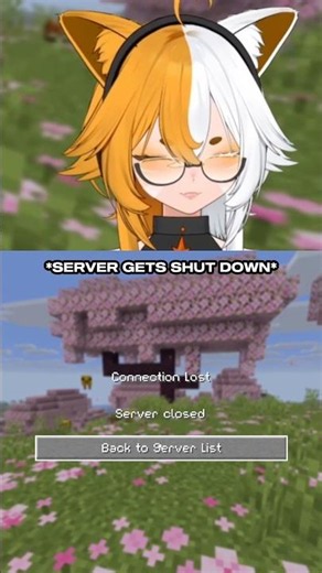 nox was NOT having it. - #minecraft #twitch #twitchstreamer #twitchstream #minecraftshorts