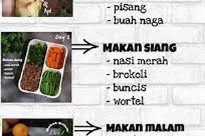 Cara Efektif Menjadi Langsing dengan Menu Makan ala JSR, Nyata dan Buktikan | Grid Health