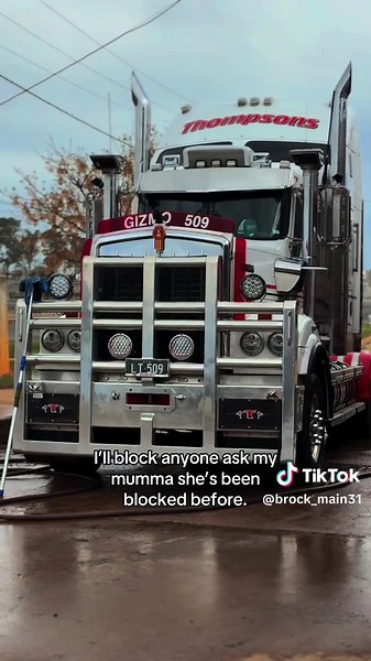 #fyp #c509 #trucktok #dontflop @That.n60