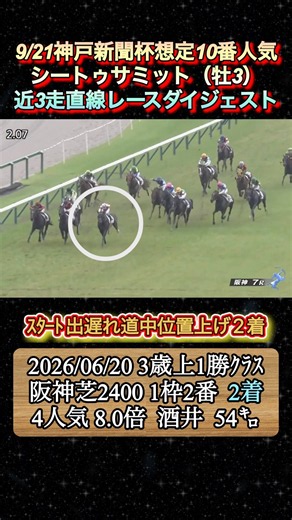 【シートゥサミット】 神戸新聞杯想定10番人気！近3走ダイジェスト #競馬 #神戸新聞杯 #シートゥサミット #酒井学 #shorts