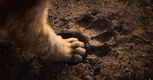 Lyca Productions on Instagram: "A surprise awaits you all 🎁🌟 Get ready for an exciting announcement 🤩 coming your way in another half-an-hour! ⌛"