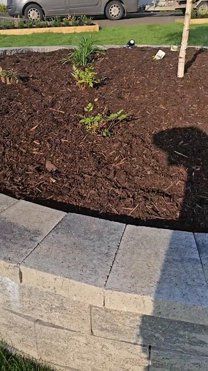 95K views · 650 reactions | installing a raised flower bed into this mega project it was built using tobermore walling products #fyp #foryou #howto #landscaping #construction #dewalt #tobermore #gardenproject #flowers | Td Landscapes | Facebook