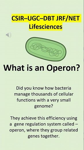 Operon Explained: Why Do Prokaryotes Use Operons? | Gene Regulation Basics