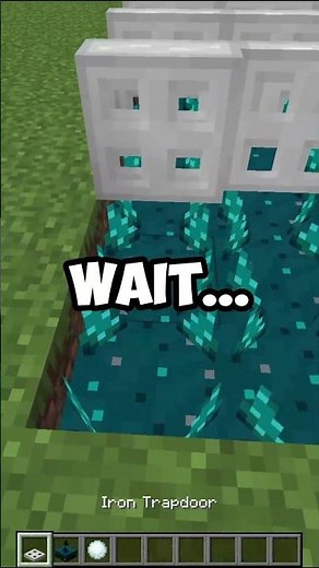 You've NEVER Seen a Minecraft Build Like This! 😱