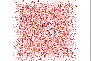 如何优雅地完成蛋白质的动力学模拟-NAMD