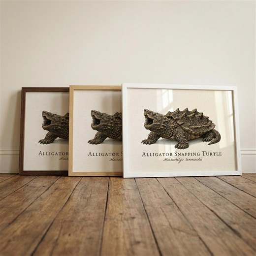 Alligator Snapping Turtle Framed Print – Vintage Scientific Illustration of Macrochelys Temminckii - Etsy