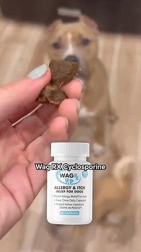 Same Cyclosporine, 3x Cheaper Stop overpaying for allergy relief....