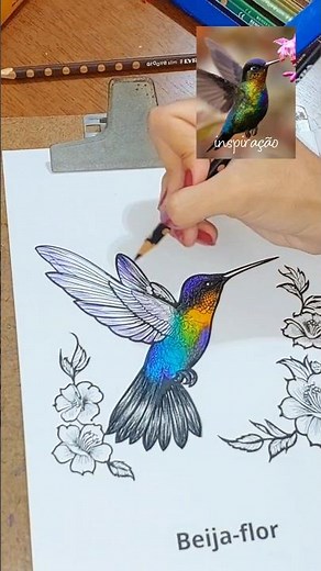 Coloring a hummingbird with colored pencils #coloringbook #coloredpencils #art #coloringpages #co...