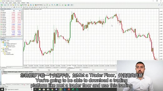 完整的外汇基础交易课程（中英文字幕）The Complete Foundation FOREX Trading Course 2020