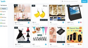 Wish wants to be the Amazon for the rest of us; will retail investors buy it?