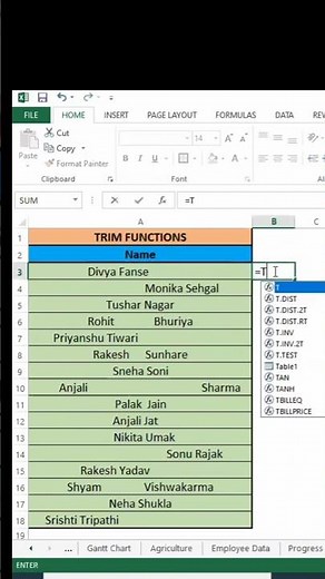 How to use Trim Function in MS Excel.
