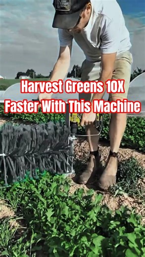 Revolutionary Greens Harvester Machine Shocks Farmers