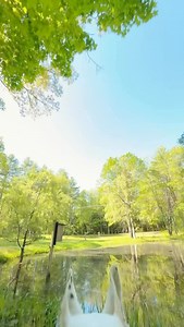 927 reactions · 23 shares | My dog after going poop in the park #dogs #dogslife #meme #funny #doggy #doggo | MisterMainer | Facebook