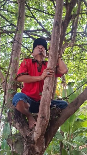 Mau ketawa takut dosa video lucu bikin ngakak hiburan warga+62 funny videos #funny #shorts #viral