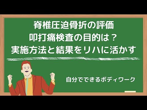 脊椎圧迫骨折の評価-叩打痛検査の目的と意義、実施方法とリハビリに活かす結果の解釈-