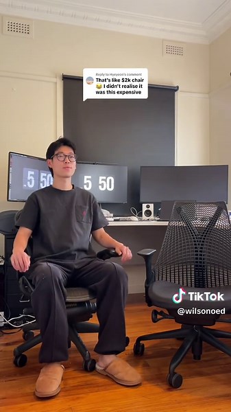 Rating My Herman Miller Chairs: A Professional Review