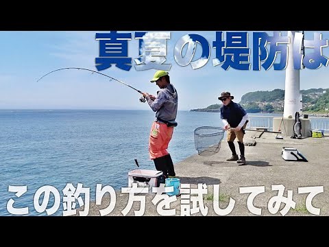 真夏の堤防大物狙い。小さな魚を避け大きな魚を狙うなら、こんな仕掛けで楽しんでみては？