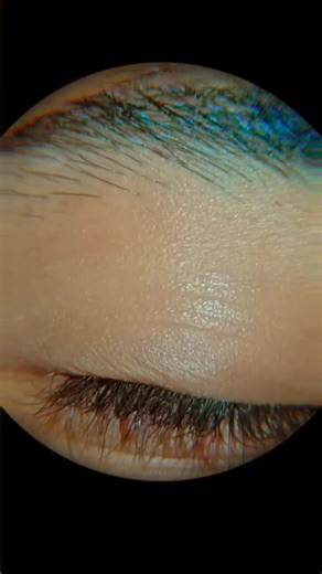 Captivating Close-Up of a Brown Human Eye