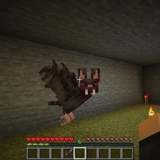 Even More Terrifying And Aggressive Bat