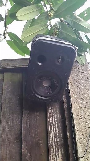 jbl control 1 pro #outdoorspeakers