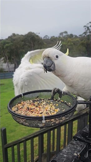 Rent is due. Move OUT.