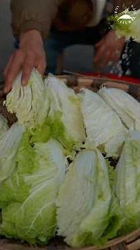 Simple Ingredients, Incredible Kimchi