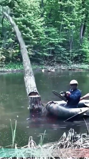 Cutting Trees in Swamp Water Using a Rubber Float cutting trees | Full Safety Gear