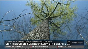 Cleveland tree crisis threatens millions of dollars in health and other benefits