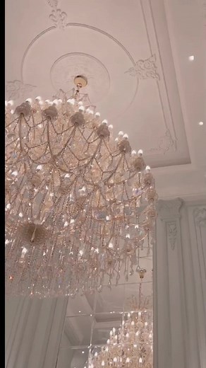 Playful Poodle: Fun Indoor Games with a Fluffy Dog