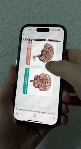 @easyanatomyappen Easy Anatomy App - 3D Atlas: zoom, isolate, slice & label!
