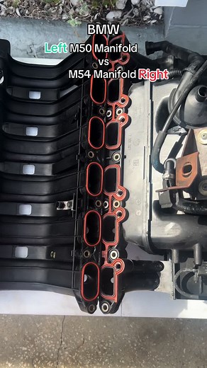 M50 vs M54 Manifold Swap for BMW Performance