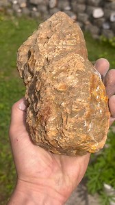 Big ole double nodule Kentucky agate with lots of interesting tells. What will this banded beauty be today!! The breakfast cut posted at lunch time haha this sucker looks like an acid trip #agate #rocks #geodes #kentuckyagate #spring #agatecutting #adventure | Taylor Pfanstiel