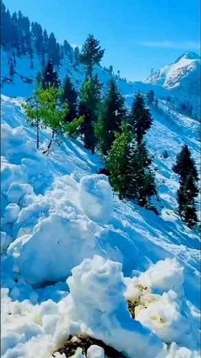 beautiful snowfall video clips short clip 🥰🥰🥰🥰🥰