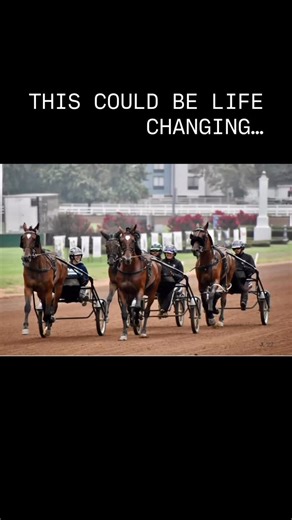 Nancy Takter on Instagram: "Here is a unique opportunity to experience the USA and take a major step in your harness-racing career! For one year, you’ll work in one of the country’s most successful training operations and care daily for some of the biggest stars in the sport. You will receive a paid 12-month visa through CAEP, free housing for the entire stay, a generous living stipend — and additional bonuses every time the horses you care for win.#teamtakter #harnessracing #luvharness #travspo