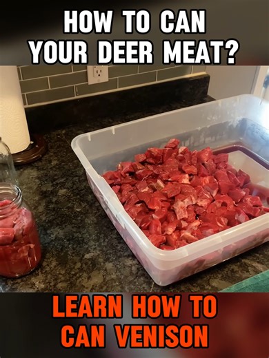 Canning Venison: A Step-by-Step Guide