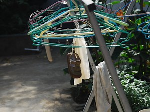 老单反尼康d80开箱，一个来自20多年前的单反，请大家看下末代ccd机皇的直出色彩