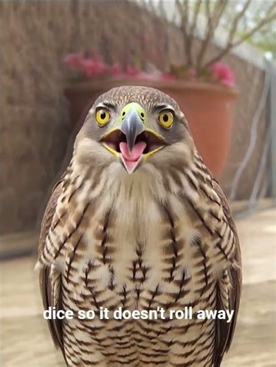 Wombats poop perfect cubes, natures lego bricks. #facts #factshorts #nature #animalshorts