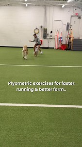 For runners, adding plyometrics to a strength routine doesn’t just build power, it prepares your entire body to handle the high demands of running. Every mile you run involves about 1,000 steps, each generating ground reaction forces of 2-3 times your body weight. This repetitive, high load explains why nearly 80% of runners experience overuse injuries. Incorporating plyometrics helps in multiple ways: 1. Enhanced Running Efficiency: Plyometrics train your muscles and tendons to store and releas