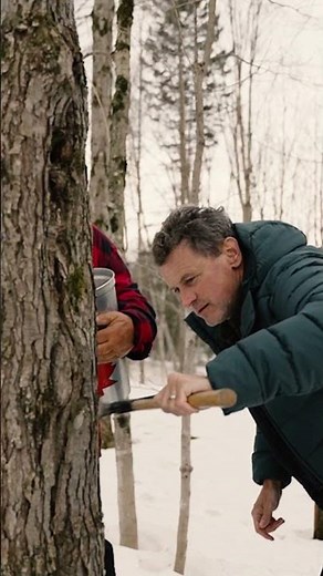 FROM SCRATCH: How to Make Maple Syrup
