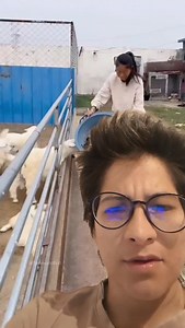 Con otros animales vivos alimentan a otros animales de granja 😨😱❌️ | Angie Reacciona